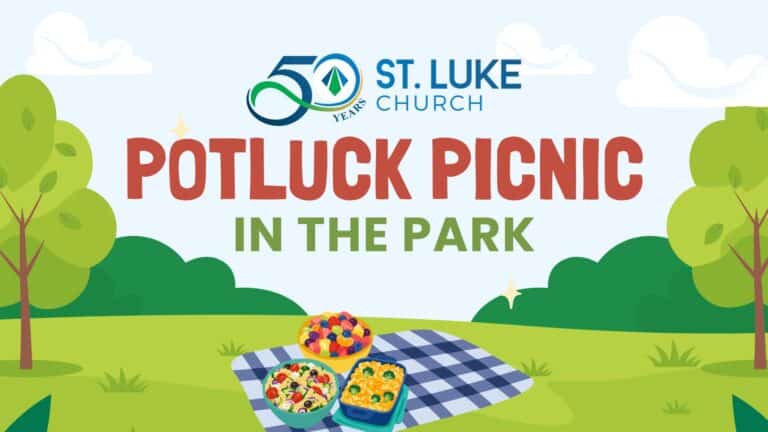 POTLUCK picnic park movie night